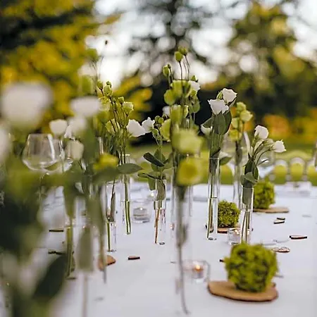 فندق Ristorante Belvedere